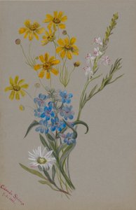  by Mary Vaux Walcott
