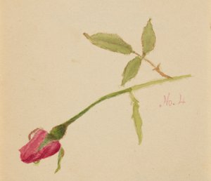  by Mary Vaux Walcott