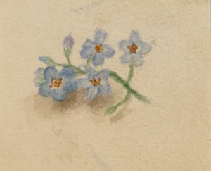İsimsiz, 1874. by Mary Vaux Walcott