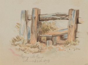 İsimsiz Stile, 1873. by Mary Vaux Walcott