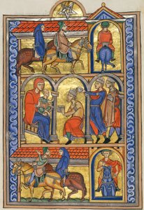 magi