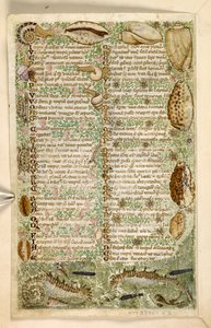 Ekle. 28841, f.3v: Erdemler ve Ahlaksızlıklar Üzerine Bir İnceleme