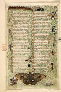 Ekle. 28841, f.4: Bir Treatise on the Virtues and Vices