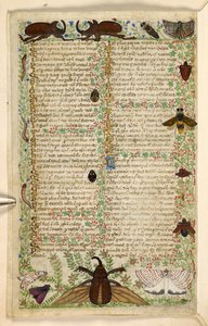 Ekle. 28841, f.4v: Bir Treatise on the Virtues and Vices