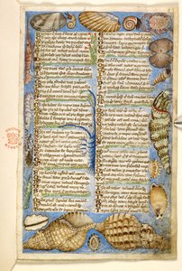Ekle. 28841, f.5: Bir Treatise on the Virtues and Vices