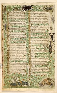 Ekle. 28841, f.7v: Akrep ve kertenkele dahil çiçekler, meyveler ve böcekler.  Erdemler ve Kötülükler Üzerine İnceleme ve Sicilya