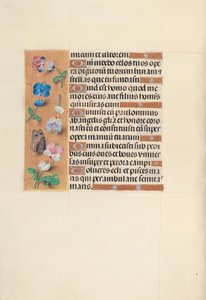  by Master of the First Prayerbook of Maximillian