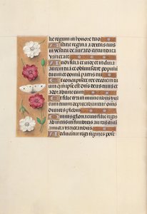 İspanya Kraliçesi Katolik Kraliçe Isabella