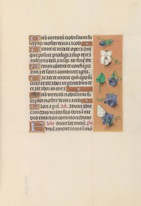İspanya Kraliçesi Katolik Kraliçe Isabella