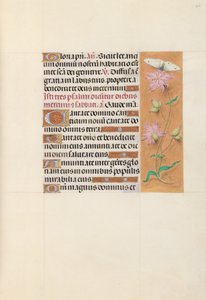  by Master of the First Prayerbook of Maximillian
