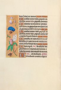 İspanya Kraliçesi Katolik Kraliçe Isabella