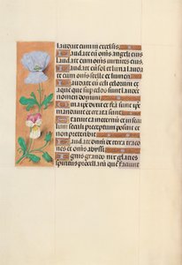  by Master of the First Prayerbook of Maximillian