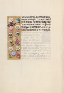 İspanya Kraliçesi Katolik Kraliçe Isabella