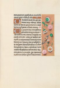 İspanya Kraliçesi Katolik Kraliçe Isabella