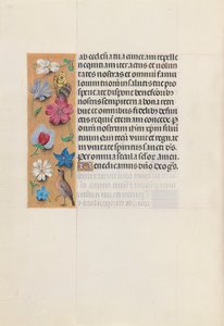 İspanya Kraliçesi Katolik Kraliçe Isabella