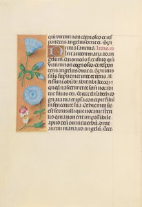 İspanya Kraliçesi Katolik Kraliçe Isabella