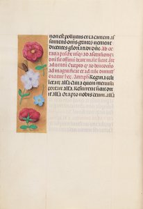 İspanya Kraliçesi Katolik Kraliçe Isabella