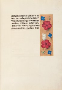 İspanya Kraliçesi Katolik Kraliçe Isabella