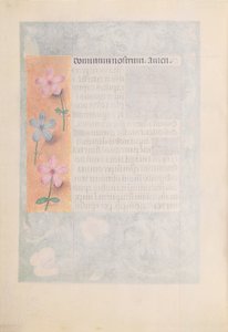İspanya Kraliçesi Katolik Kraliçe Isabella