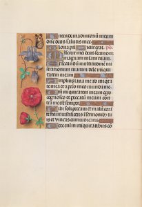 İspanya Kraliçesi Katolik Kraliçe Isabella