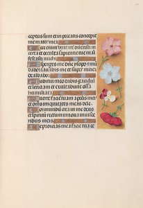 İspanya Kraliçesi Katolik Kraliçe Isabella