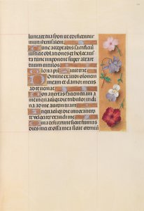 İspanya Kraliçesi Katolik Kraliçe Isabella