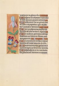 İspanya Kraliçesi Katolik Kraliçe Isabella'nın Saatleri: Fol. 207v, c. 1500. by Master of the First Prayerbook of Maximillian