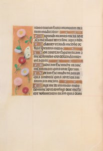 İspanya Kraliçesi Katolik Kraliçe Isabella