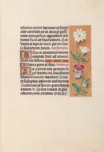 İspanya Kraliçesi Katolik Kraliçe Isabella