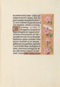İspanya Kraliçesi Katolik Kraliçe Isabella
