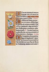 İspanya Kraliçesi Katolik Kraliçe Isabella