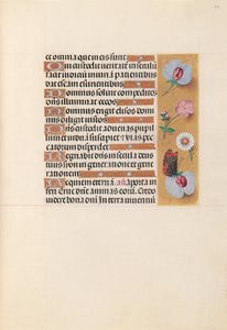İspanya Kraliçesi Katolik Kraliçe Isabella
