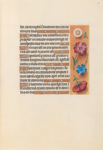  by Master of the First Prayerbook of Maximillian