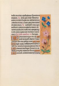  by Master of the First Prayerbook of Maximillian