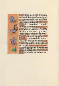 İspanya Kraliçesi Katolik Kraliçe Isabella