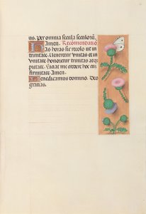 İspanya Kraliçesi Katolik Kraliçe Isabella