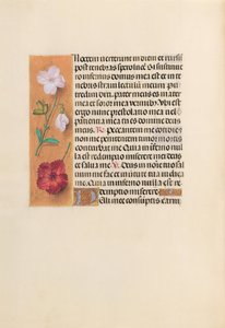 İspanya Kraliçesi Katolik Kraliçe Isabella
