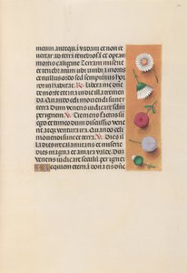 İspanya Kraliçesi Katolik Kraliçe Isabella