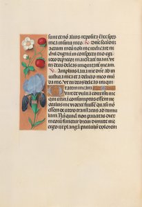 İspanya Kraliçesi Katolik Kraliçe Isabella