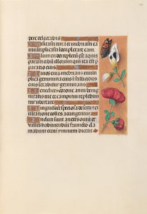 İspanya Kraliçesi Katolik Kraliçe Isabella