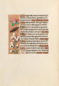 İspanya Kraliçesi Katolik Kraliçe Isabella