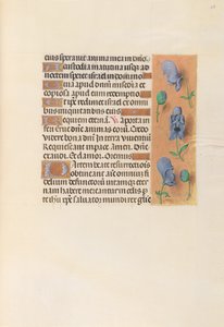 İspanya Kraliçesi Katolik Kraliçe Isabella
