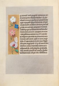 İspanya Kraliçesi Katolik Kraliçe Isabella