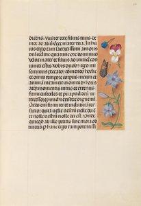 İspanya Kraliçesi Katolik Kraliçe Isabella