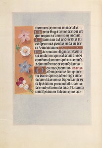 İspanya Kraliçesi Katolik Kraliçe Isabella