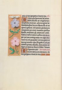 İspanya Kraliçesi Katolik Kraliçe Isabella