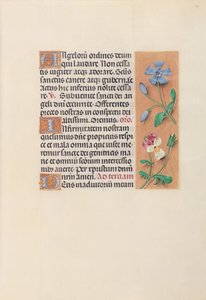 İspanya Kraliçesi Katolik Kraliçe Isabella