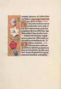İspanya Kraliçesi Katolik Kraliçe Isabella