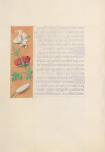 İspanya Kraliçesi Katolik Kraliçe Isabella