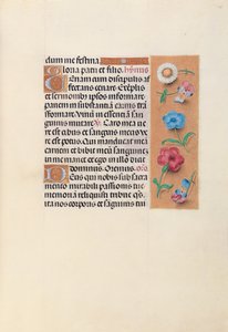 İspanya Kraliçesi Katolik Kraliçe Isabella